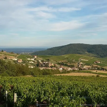 Domaine De La Fee-licite * Jullié