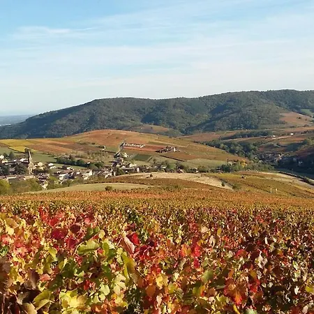 Domaine De La Fee-licite 3* Jullié